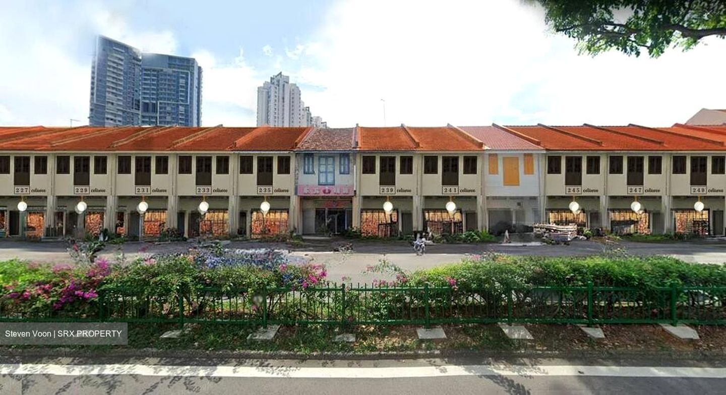Serangoon Road (D8), Apartment #591219621